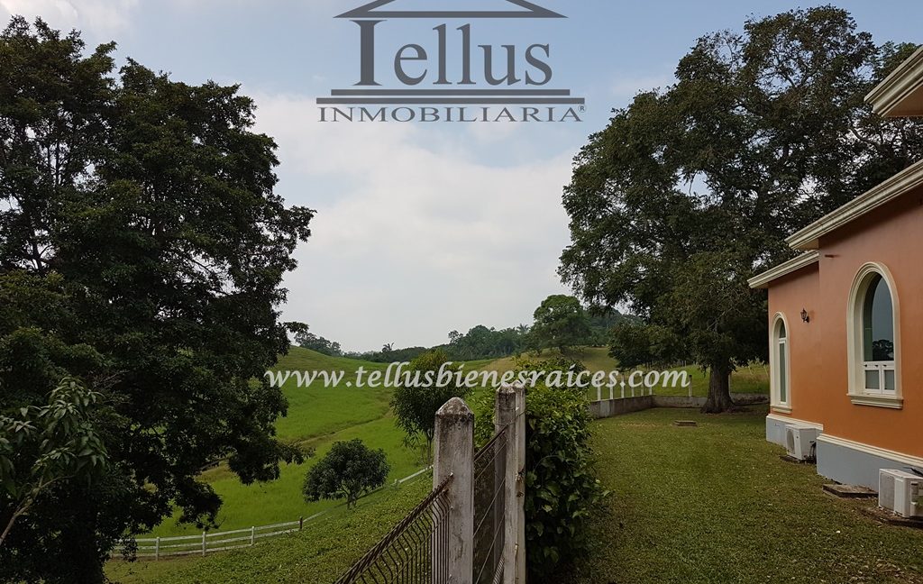 Tellus Inmobiliaria - Rancho El Zapote 026