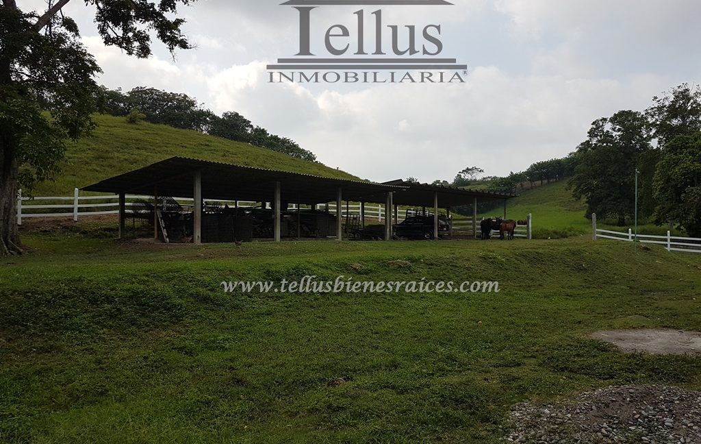 Tellus Inmobiliaria - Rancho El Zapote 030