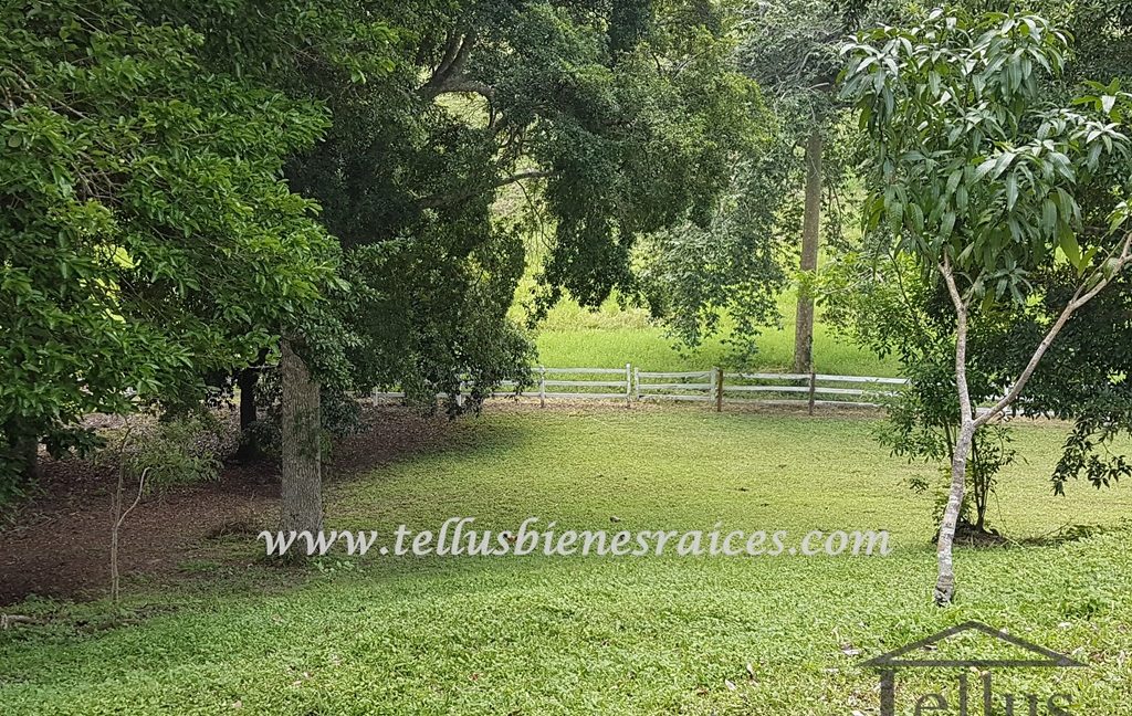 Tellus Inmobiliaria - Rancho El Zapote 033