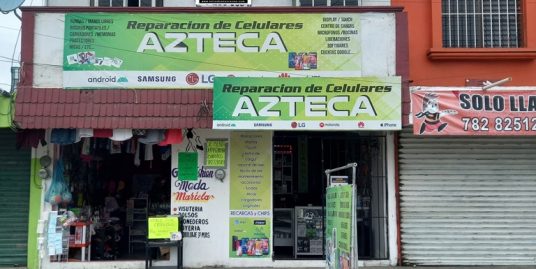 T463-LV – Col. La Azteca, Coatzintla